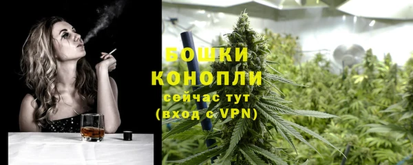 бошки Тында