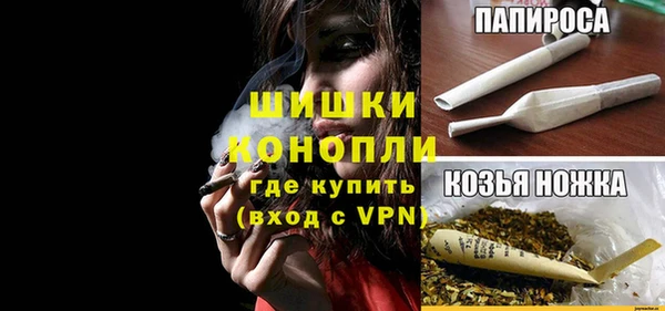 стаф Вяземский