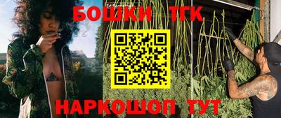 эйфоретик Малгобек