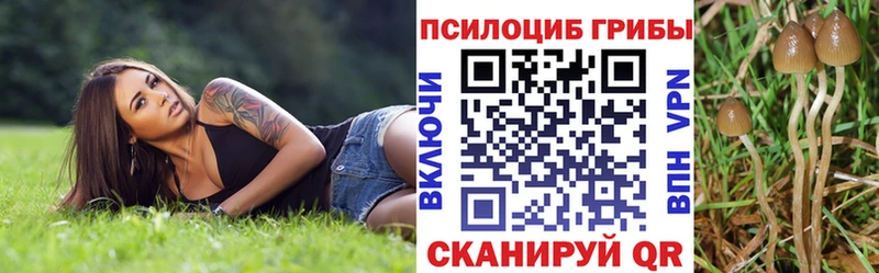Псилоцибиновые грибы MAGIC MUSHROOMS  где найти наркотики  Обнинск 